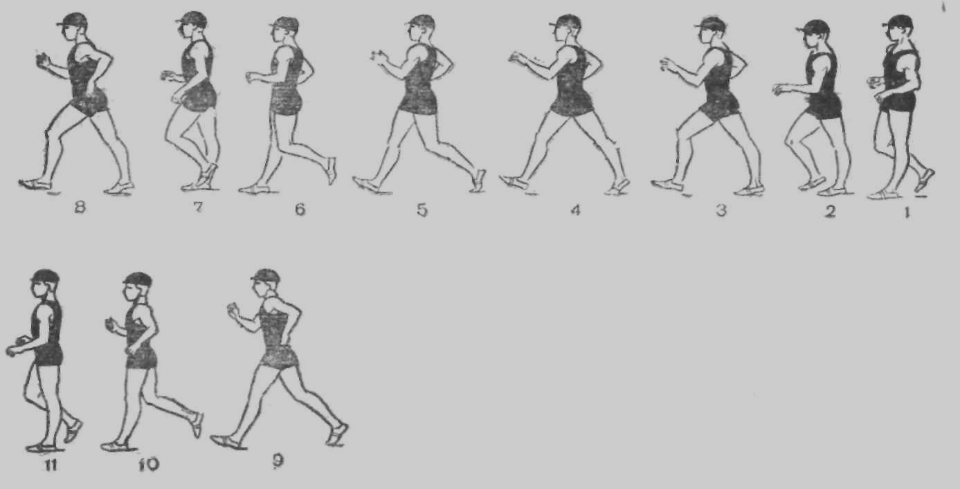 Рисунок 1. Техника спортивной ходьбы