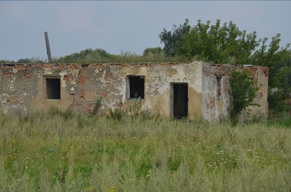 Вид фермы в с. Урусово. 2013 г. Фотография автора работы