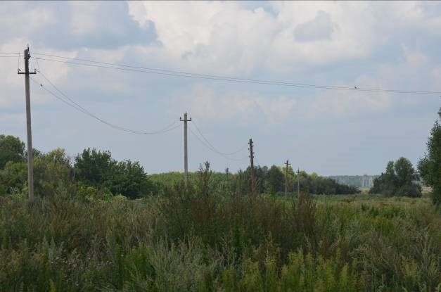 Исчезнувший посёлок Новосветский. 2013 г.  Фотография автора работы